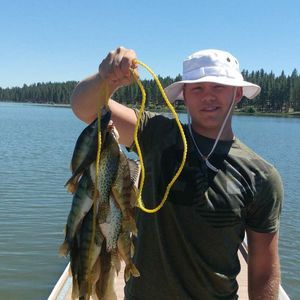 Meet your Posher, Vance